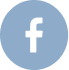 Icone facebook