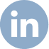Icone linkedin
